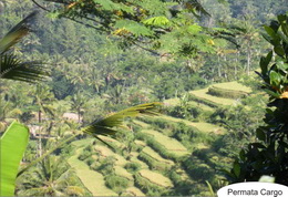 ubud